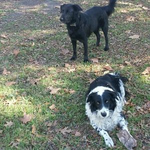 Meet your Posher, Dylan